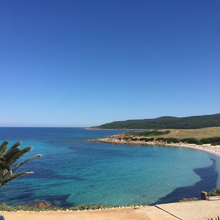 Ajaccio Magnifique T2 45M2 Neuf 5 Personnes Clim Wifi Stationnement Gratuit Centre Ville Plage A 300M Екстериор снимка
