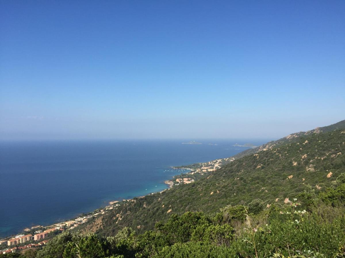 Ajaccio Magnifique T2 45M2 Neuf 5 Personnes Clim Wifi Stationnement Gratuit Centre Ville Plage A 300M Екстериор снимка